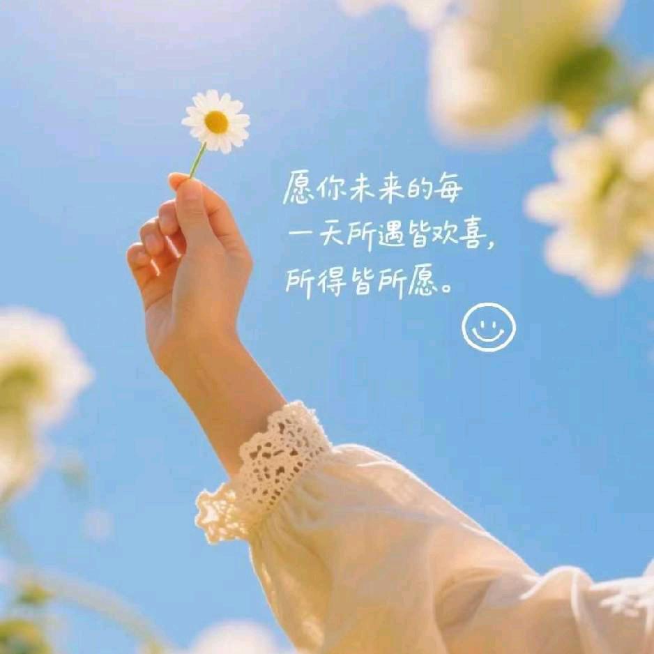 八喜可乐