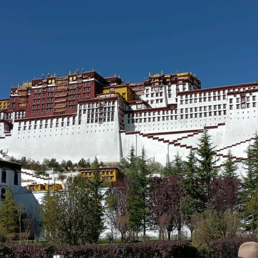 我已存她HONG