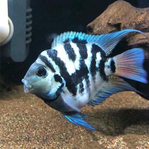 好多鱼🐟🐟