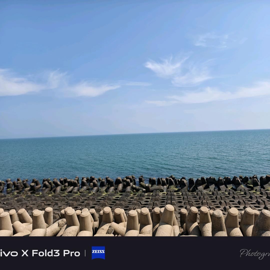 又菜又爱玩的小卤蛋