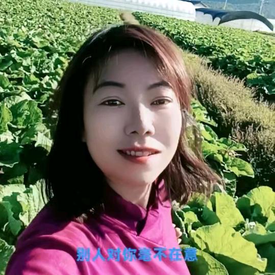 丽江梦姐