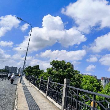 知己姐