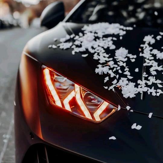 最有名的俊后生