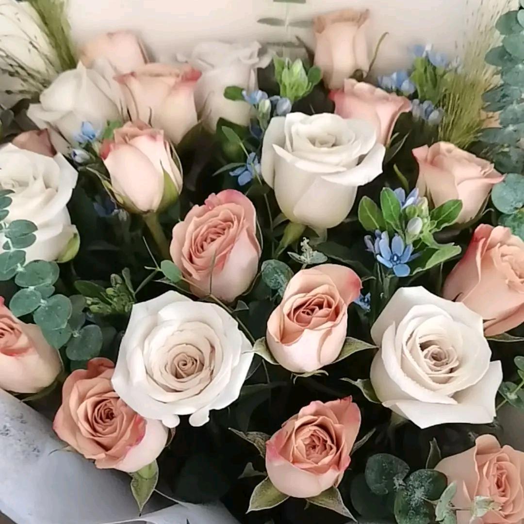 🍓兜里半颗糖🍀