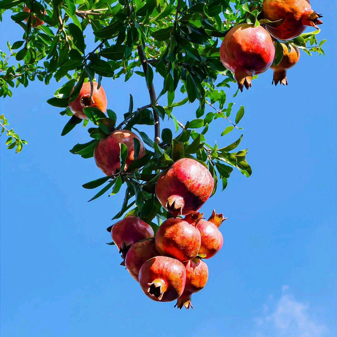 非凡商贸经销互关