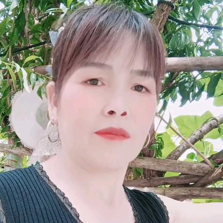 玫瑰123