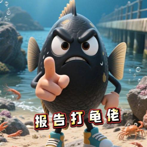 报告打龟佬