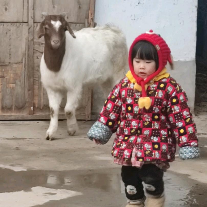 娜些小美好