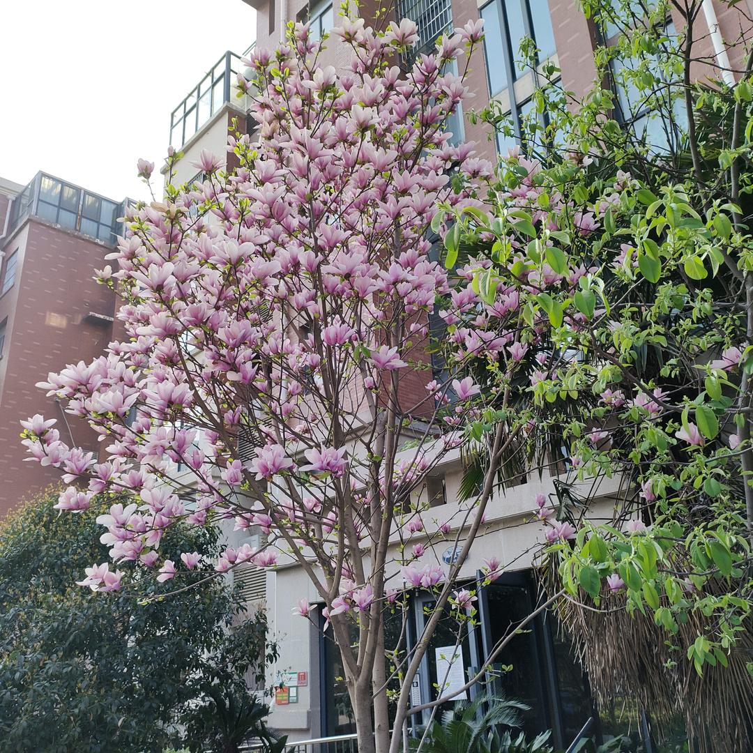 鑫鑫好物优选-厂家直发