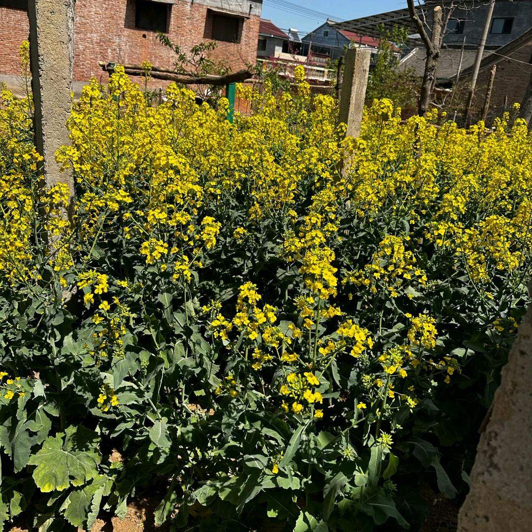 “庤”此为止🌹