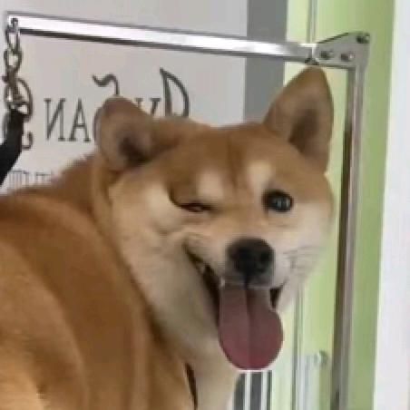 晚安(´-ωก`)