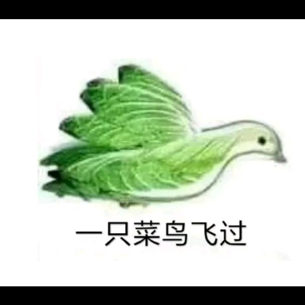 睡/道 菜菜