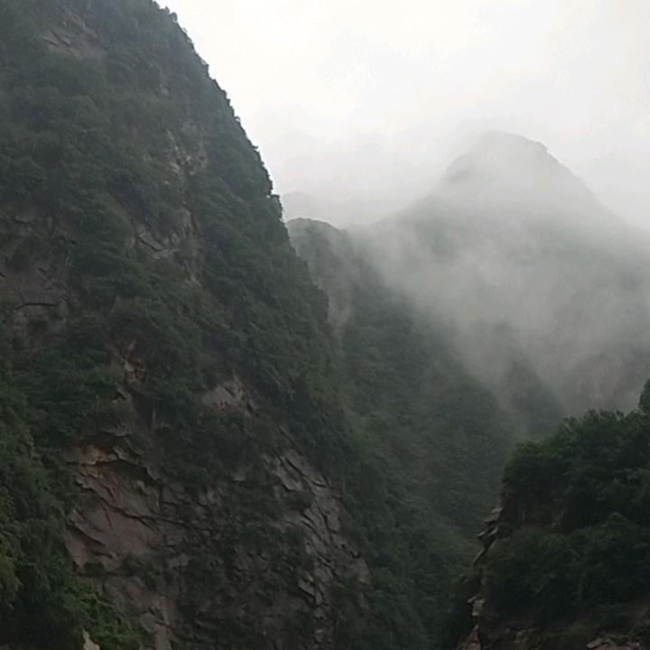 轻装策马