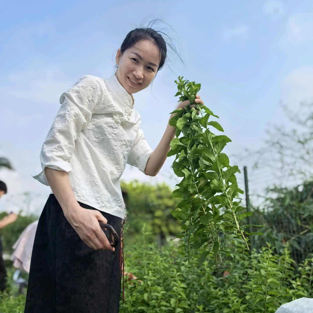 麦芽糖：首播：14:41