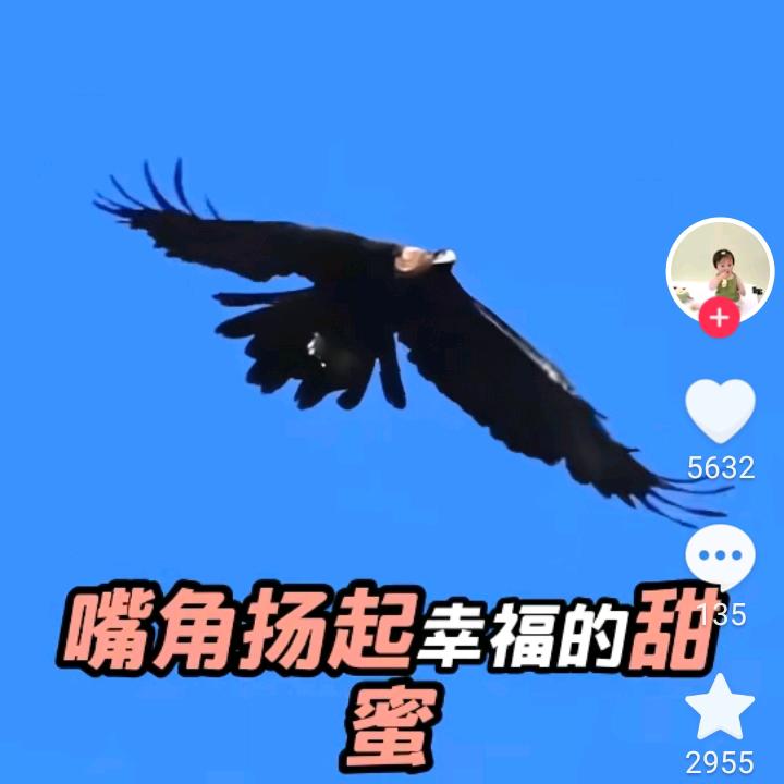 快乐