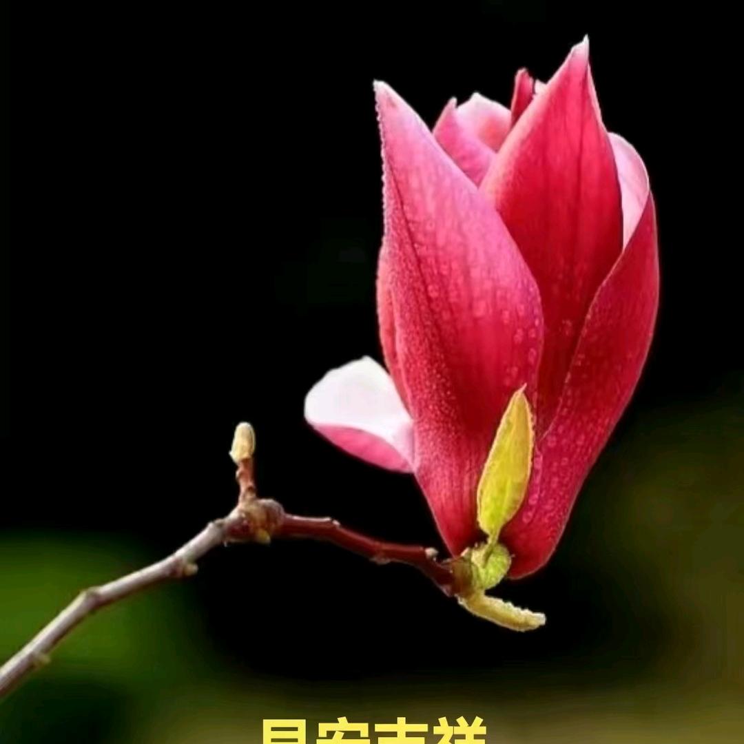 路遥知马力，日久见人心