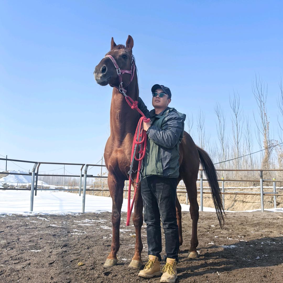察县种羊场兄弟马业🐎小馬（回）