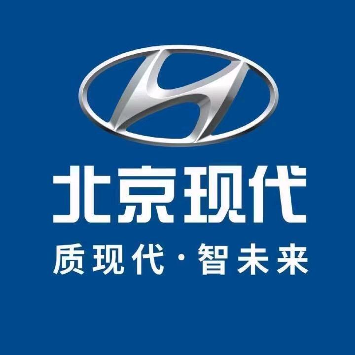 北京现代花火