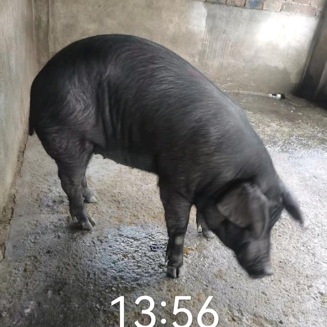 佳和超市
