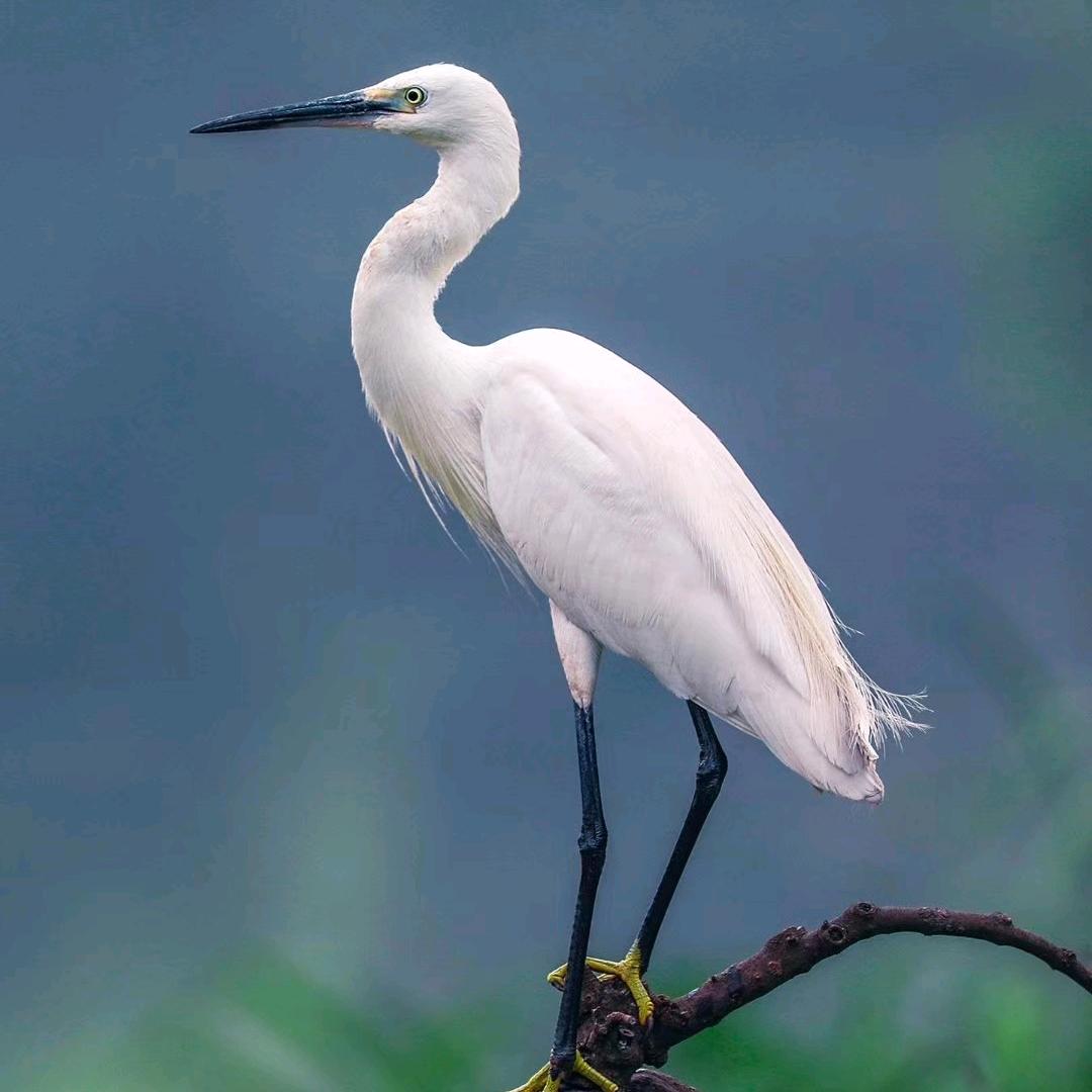 美好明天🙏🙏🙏