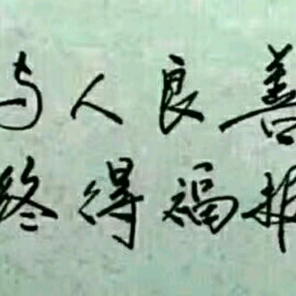 扬帆起航