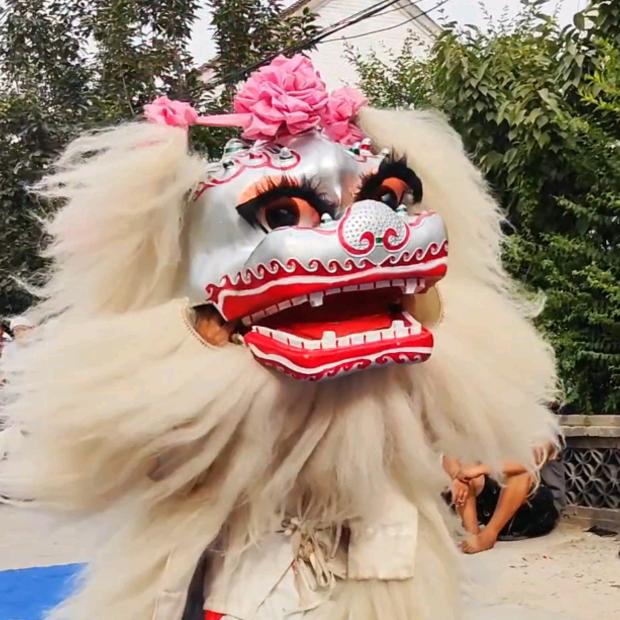 漯河精彩舞狮团