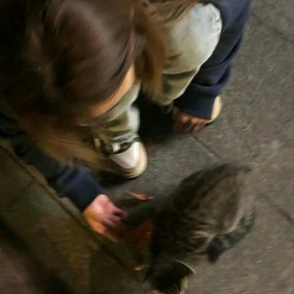 張張銨