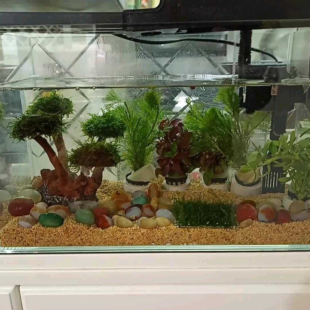 🌈小楊🐏咩咩🌈