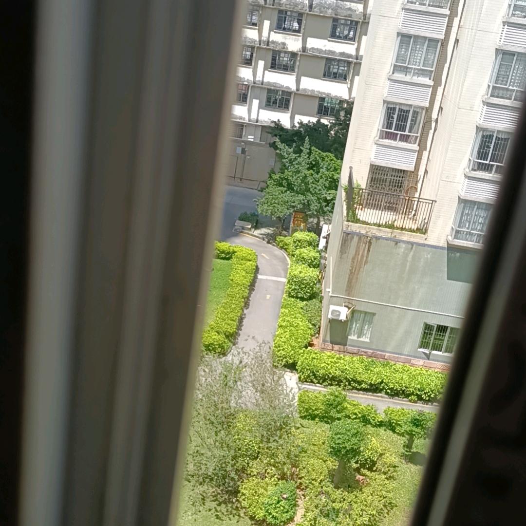 从零开始