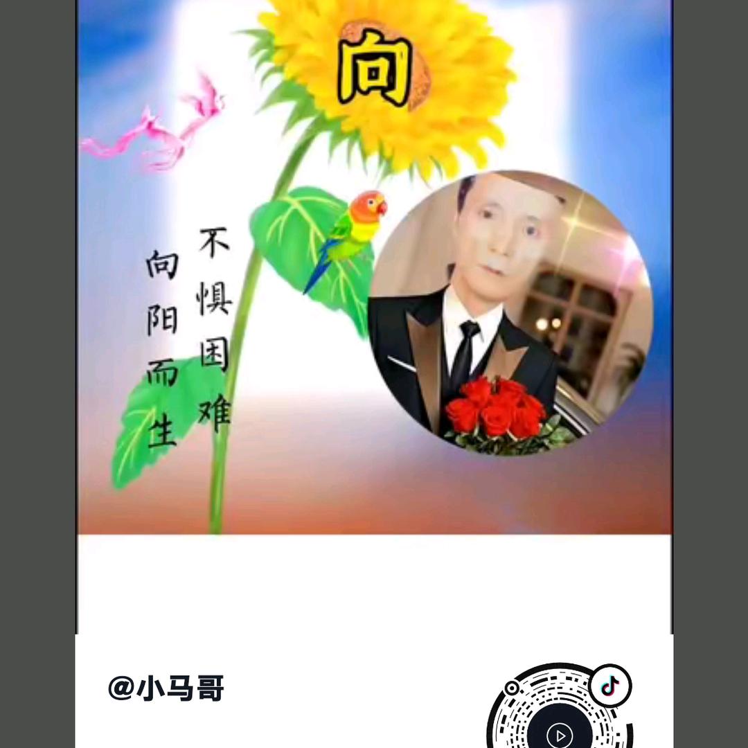 小马