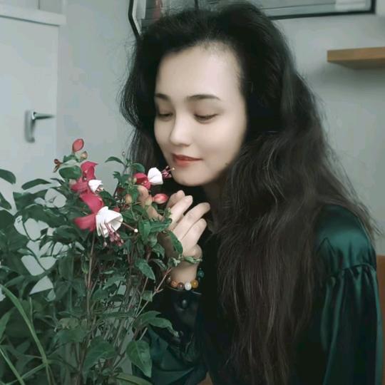 小兔子