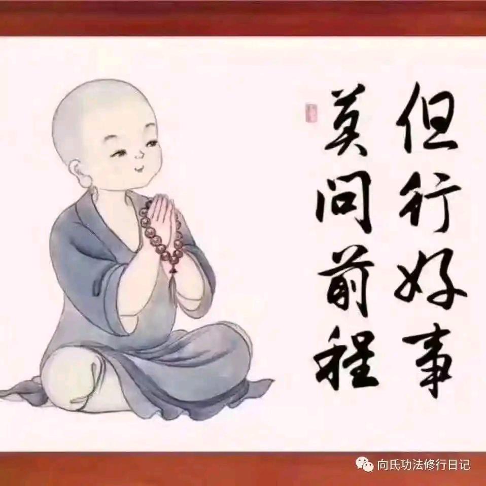 胖妞子