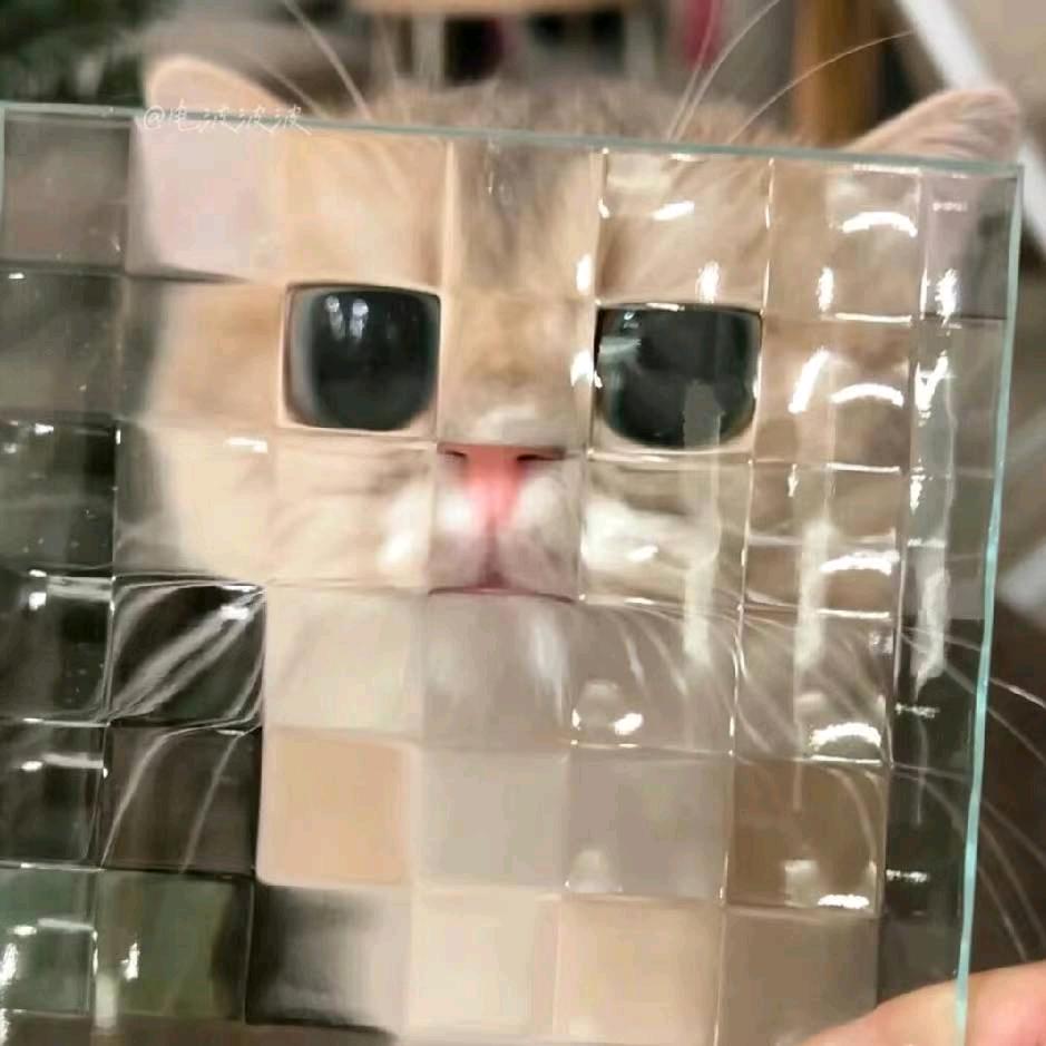 小5