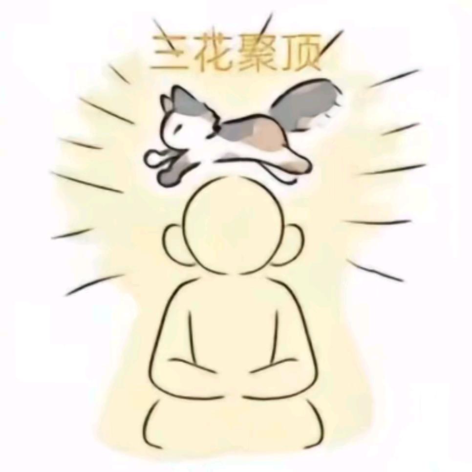 这集更是皇到没边