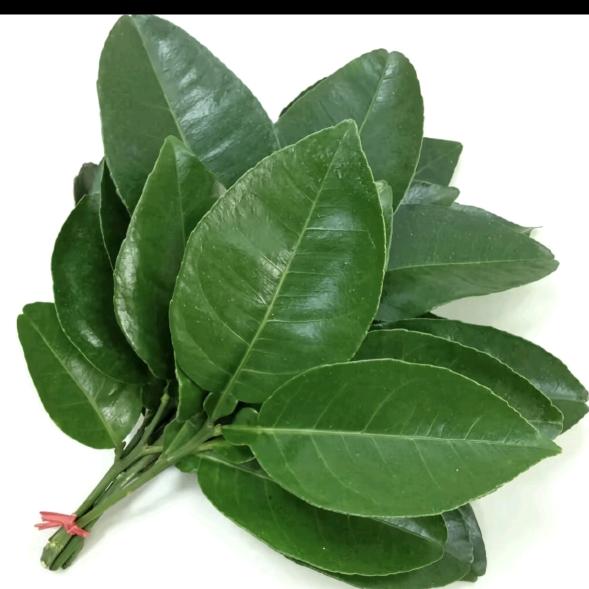 文静静静静静💡（忙炸版）