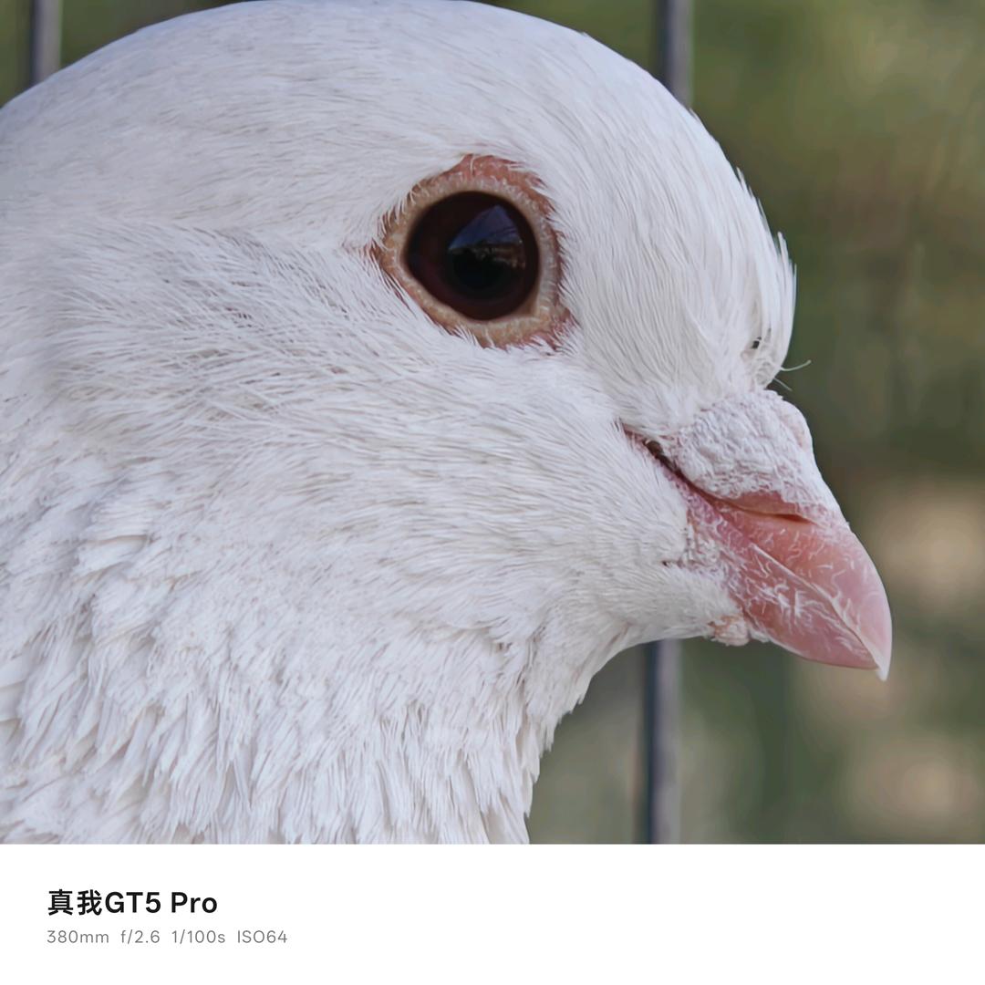 夕阳