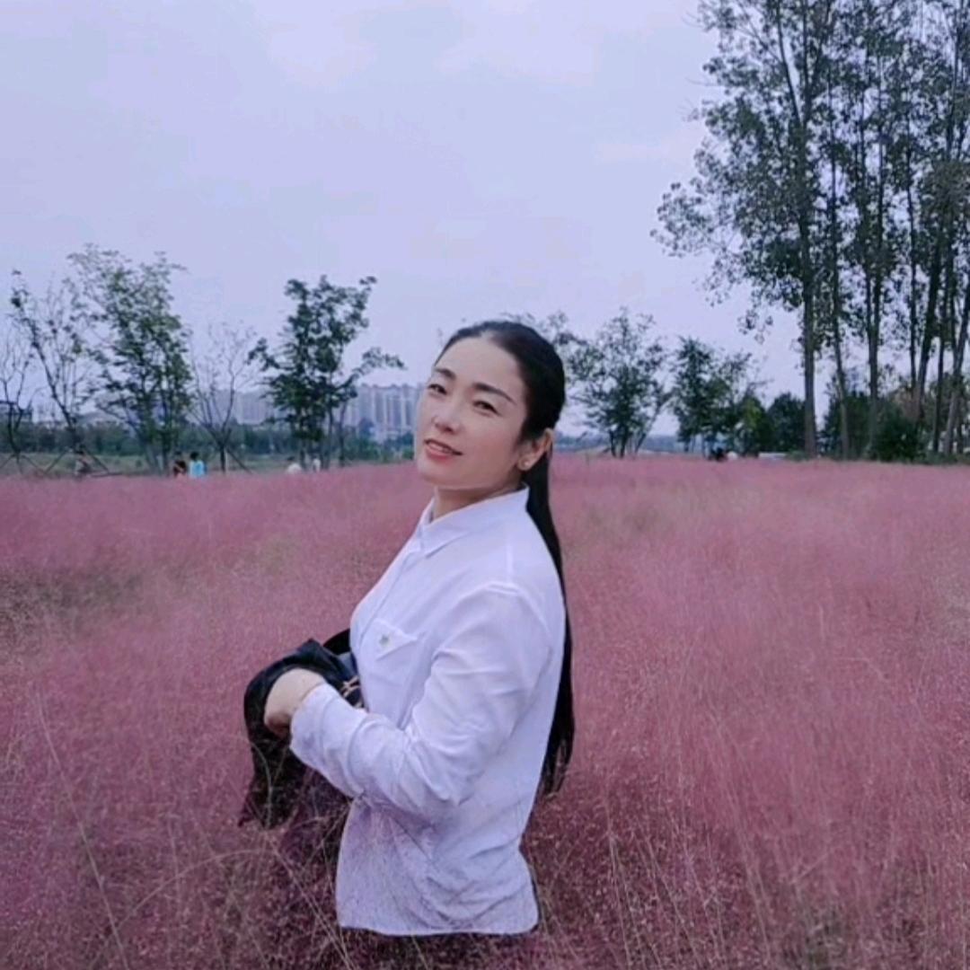 寸草养老🌸清歌歌