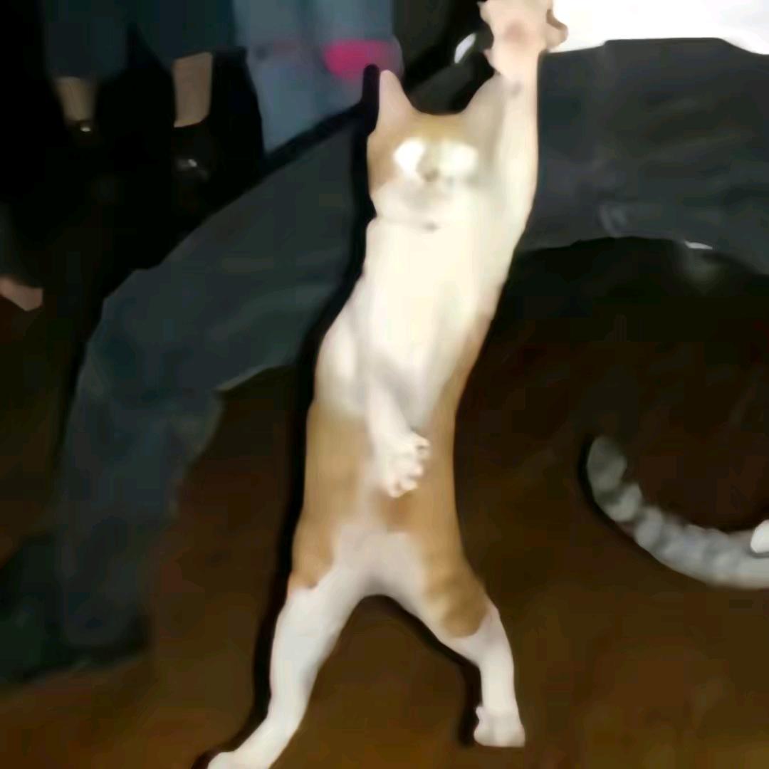 ￴ ￴￴￴ ￴￴   ￴ ￴ ￴￴￴