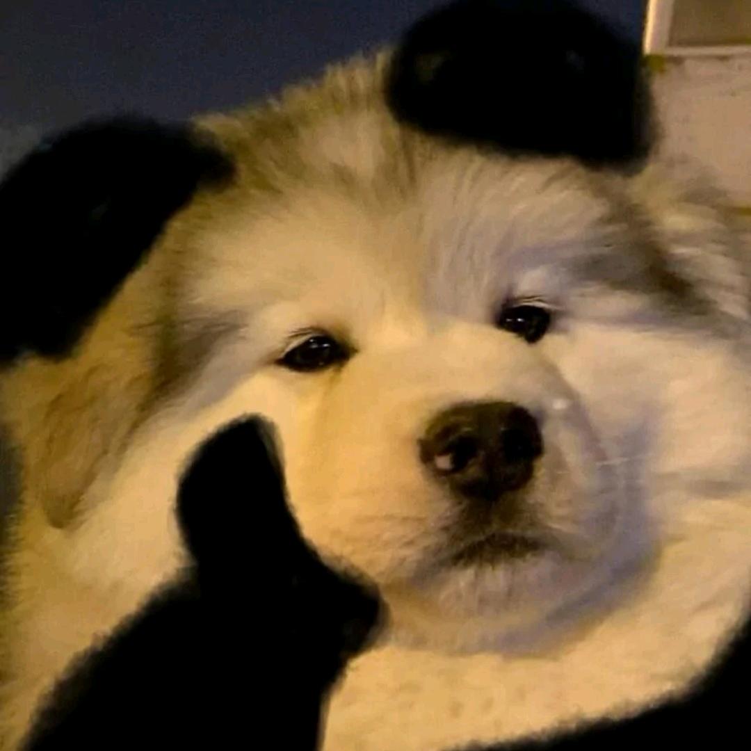 炸毛可乐