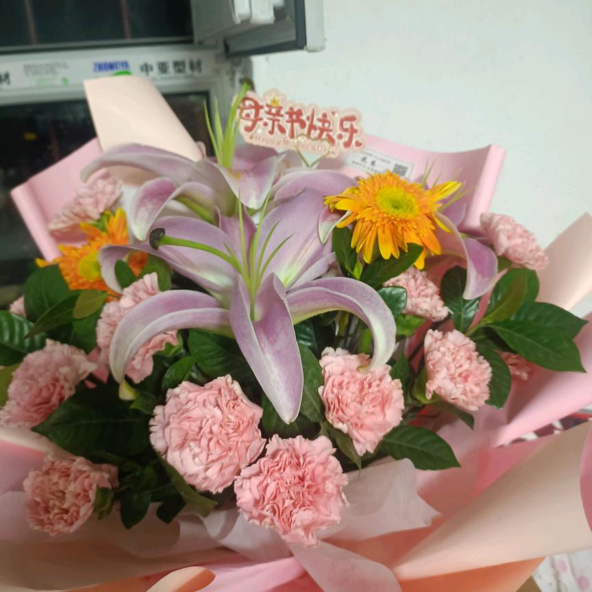 奋斗.杨姐