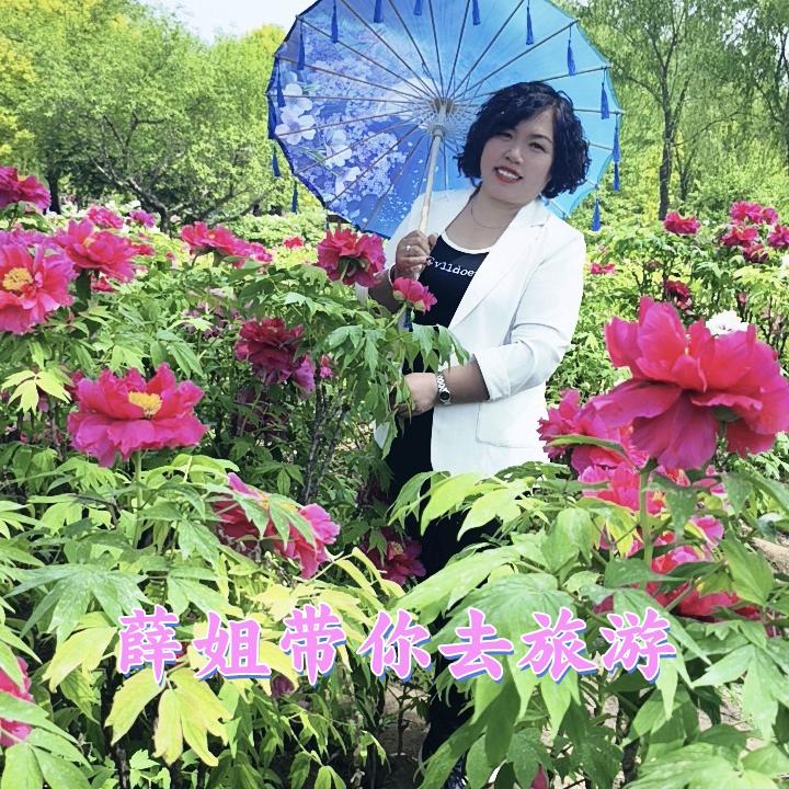 薛姐:旅游《咨询》报名处