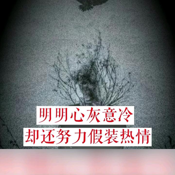 风和远方