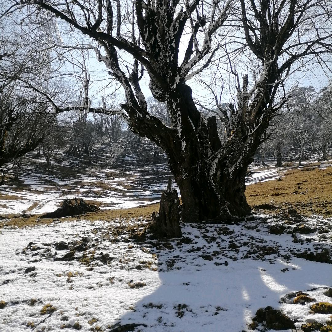 没烦恼