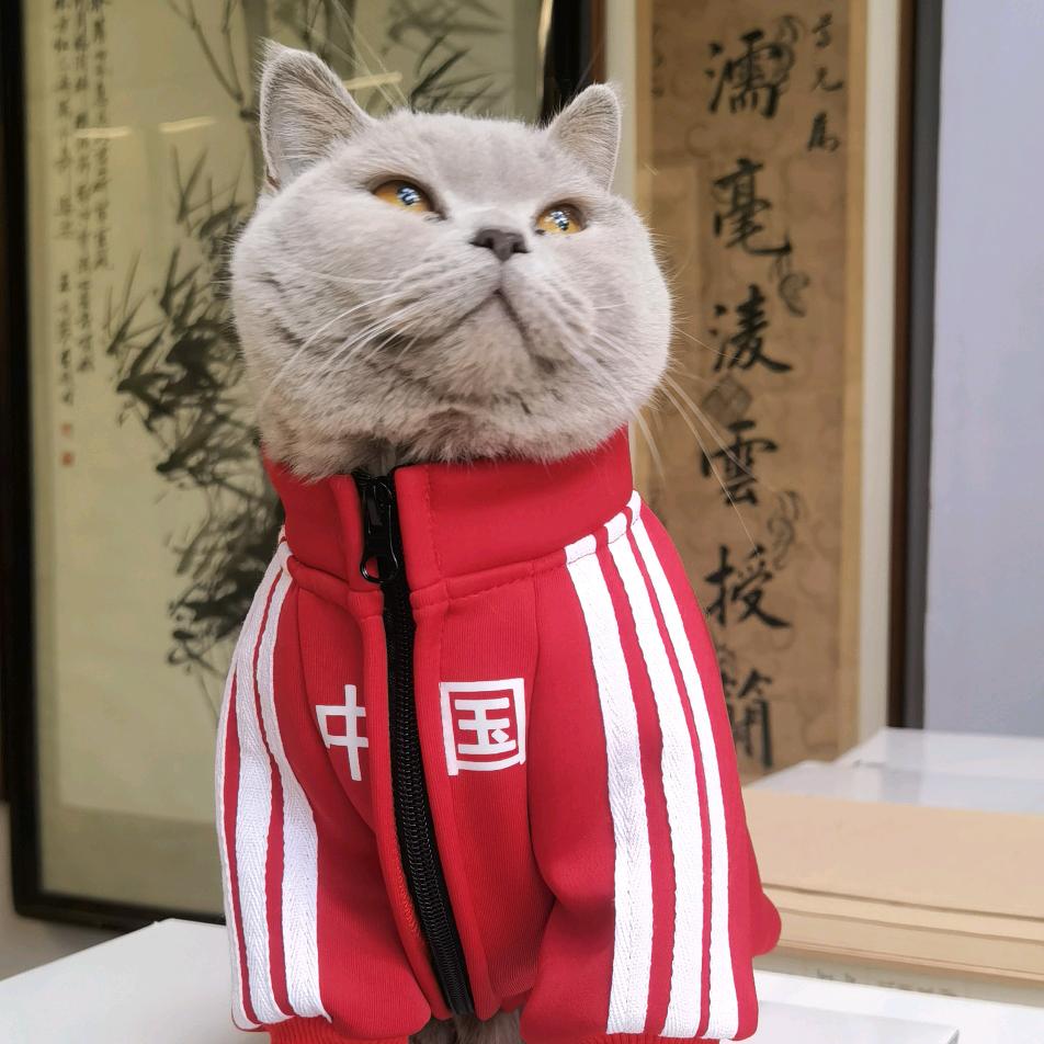 竹吟山房