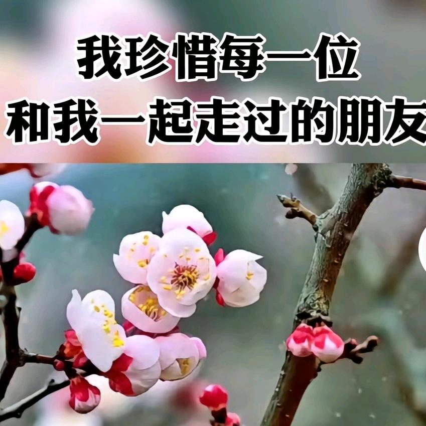 春雨细无声601