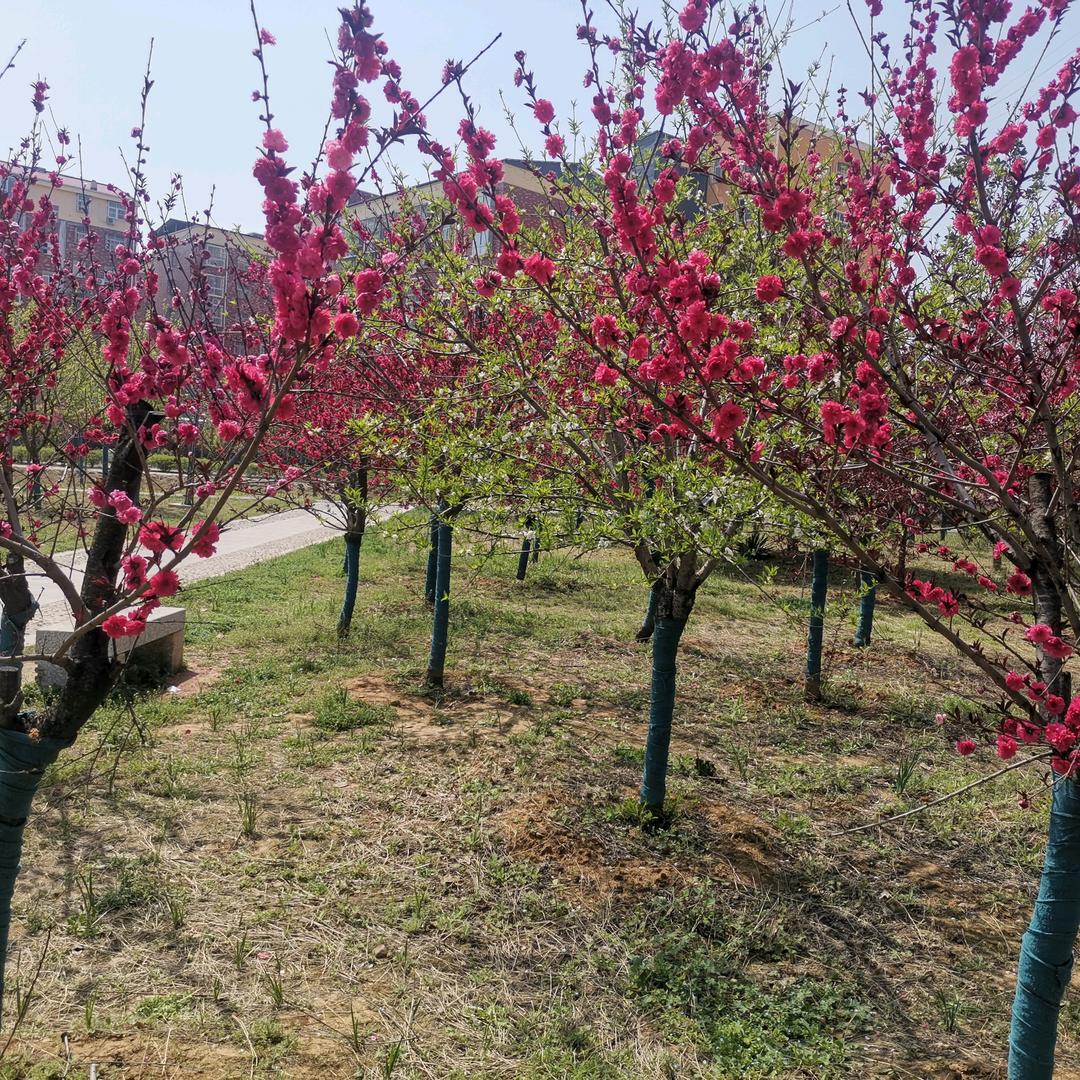 穿越爱跳舞