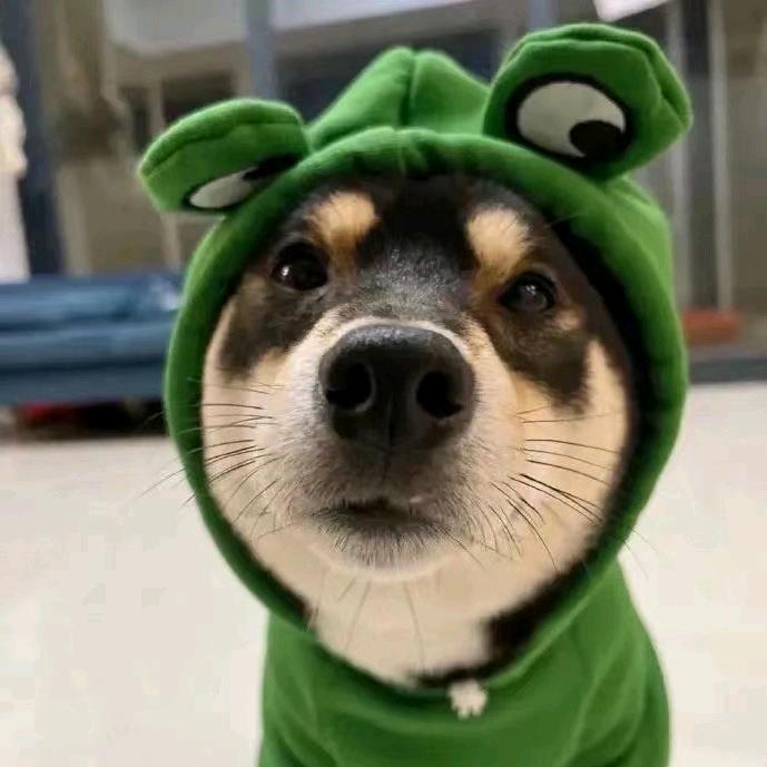 ·T·今晚打老虎