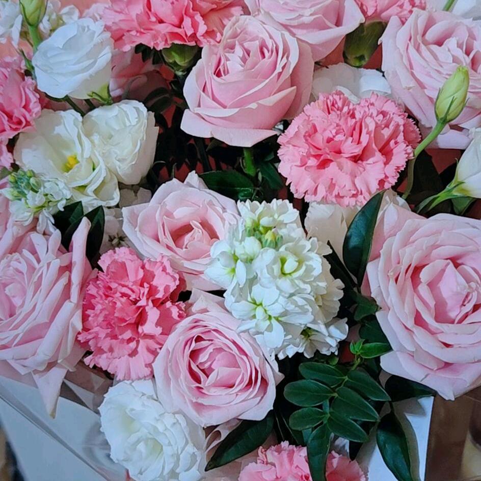 沉默背后藏着孤独