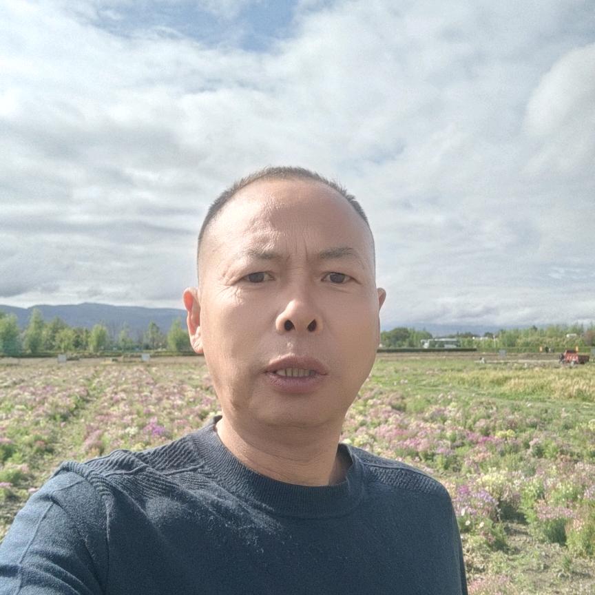 寻找另一半