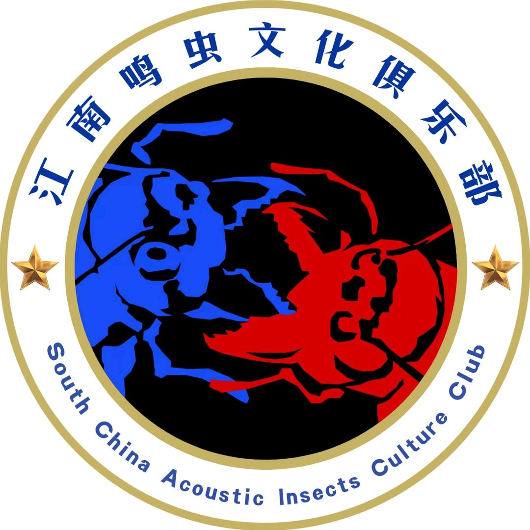 无锡老沙【斗蟋蟀非遗】